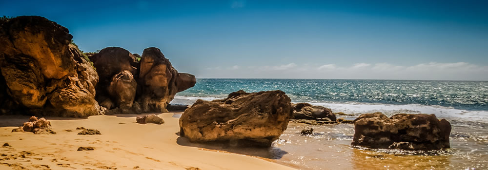 A sandy shore.